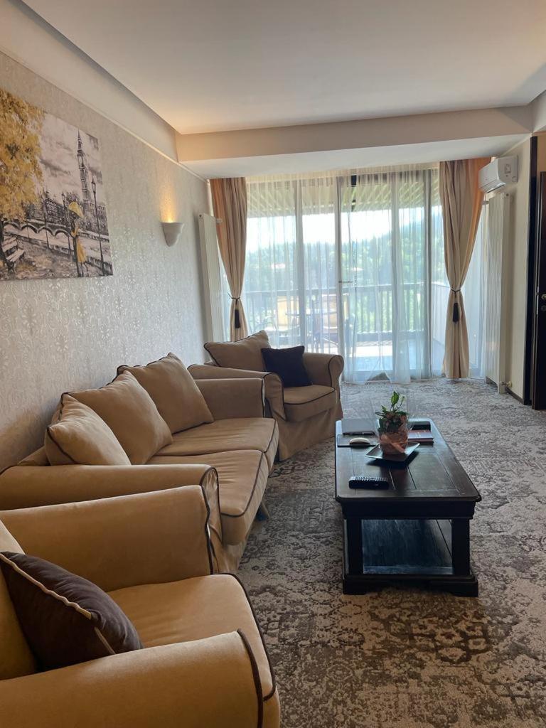 Apartament Executive Vedere Munte Alpin Resort Poiana Brașov Zewnętrze zdjęcie