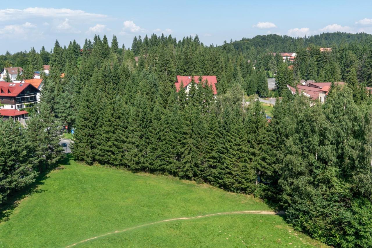 Apartament Executive Vedere Munte Alpin Resort Poiana Brașov Zewnętrze zdjęcie